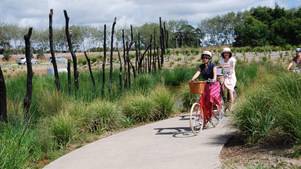 Fun for the whole family