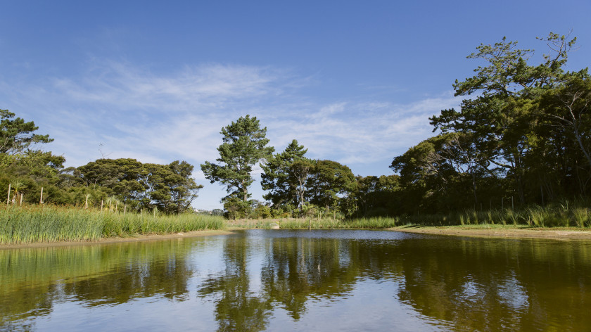 Parks and Recreation 