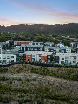 Okahukura 1500x1000 02