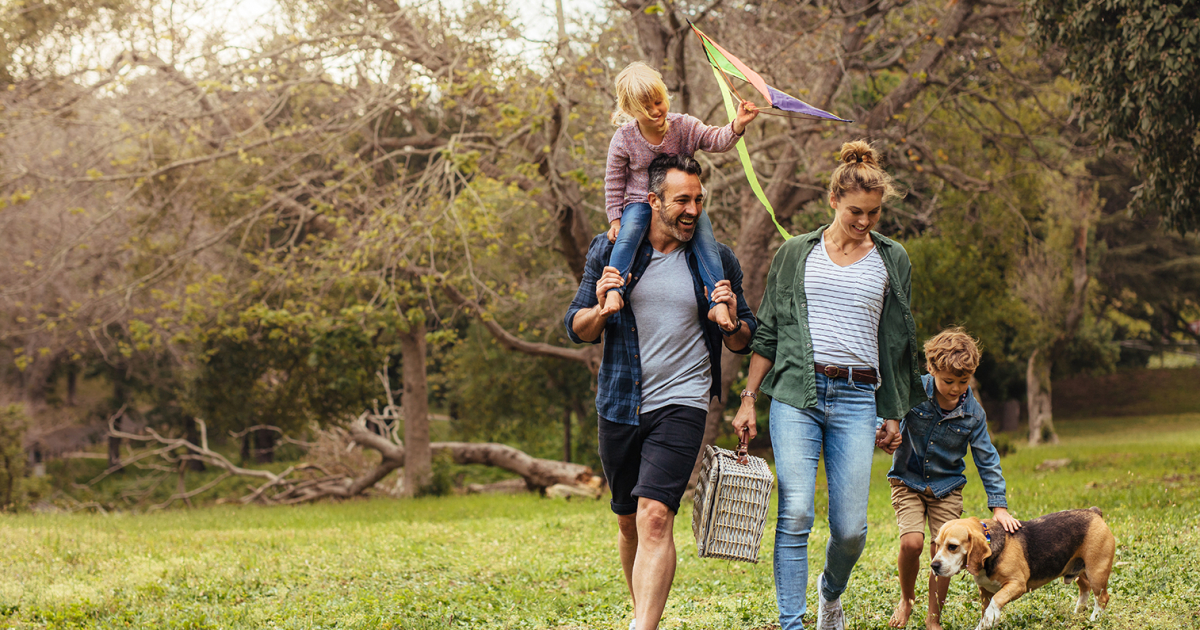 Birdwood Heights Development New Houses for Sale » Fletcher Living