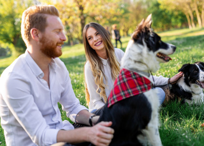 happy couple playing with dog in the park outdoor 4WFEW46