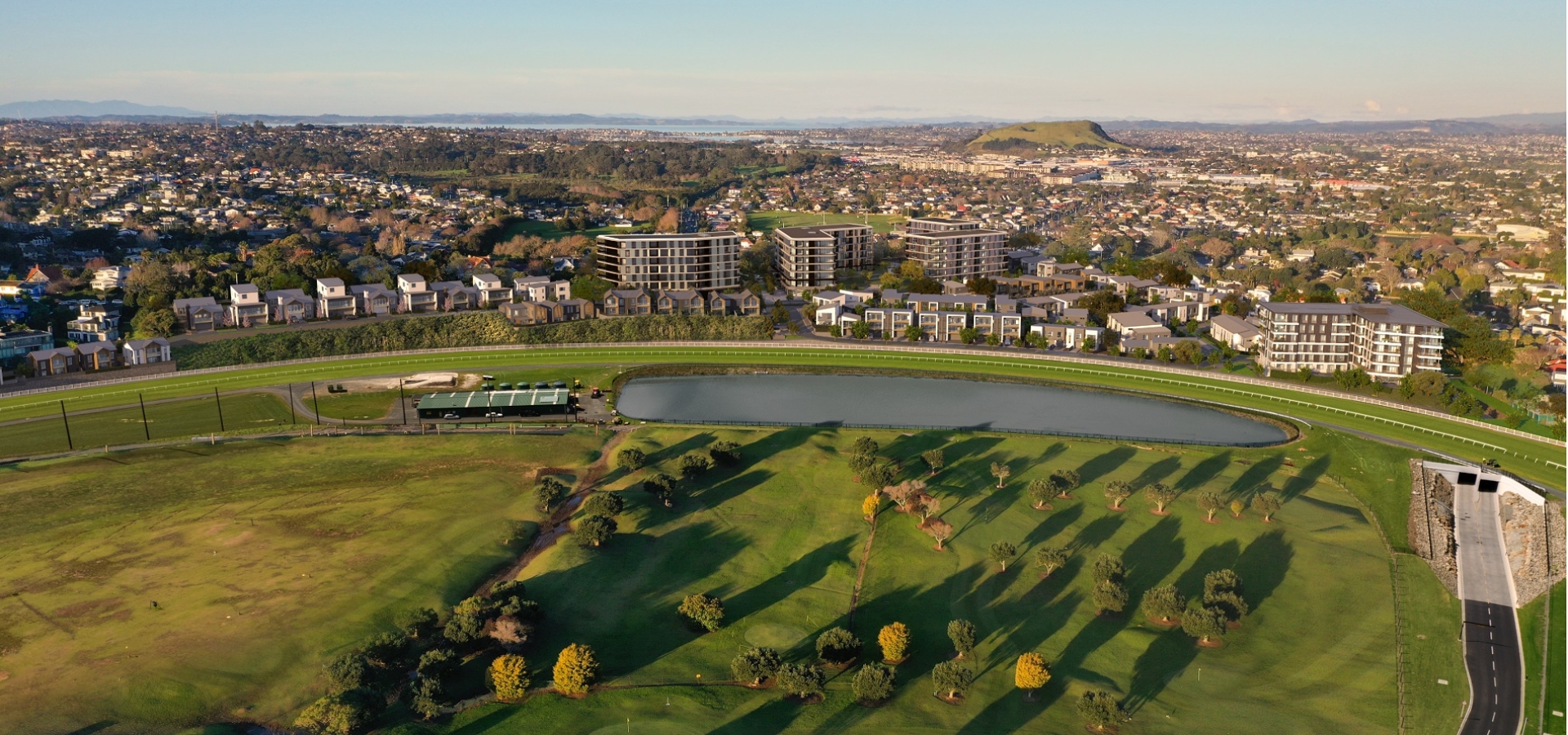 mt wgtn view website banner
