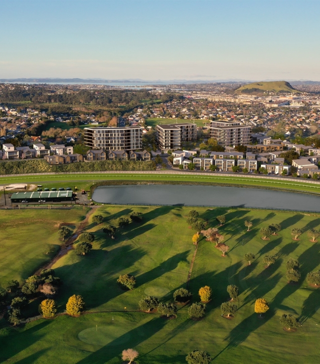 mt wgtn view website banner