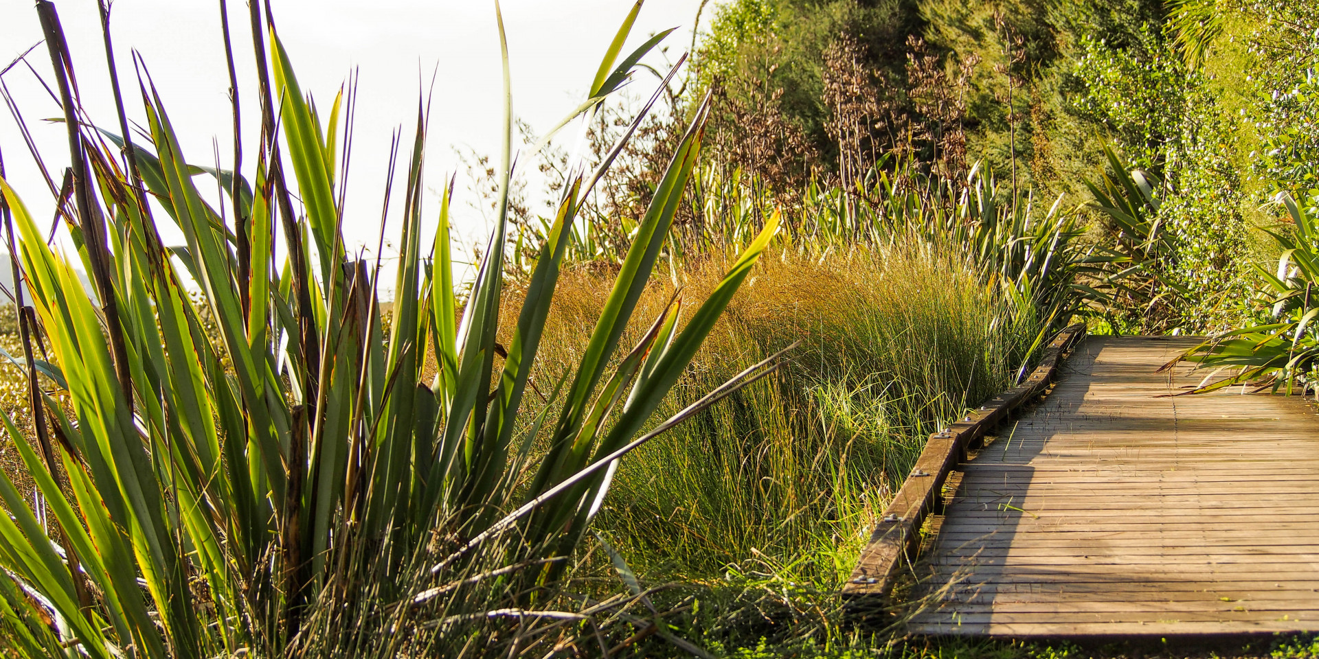 Te Atatū Peninsula