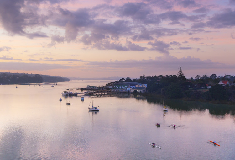 Hobsonville point