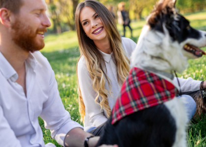 happy couple playing with dog in the park outdoor 4WFEW46 FocusFillWzEyMDAsNTUwLCJ5IiwxMjRd v5