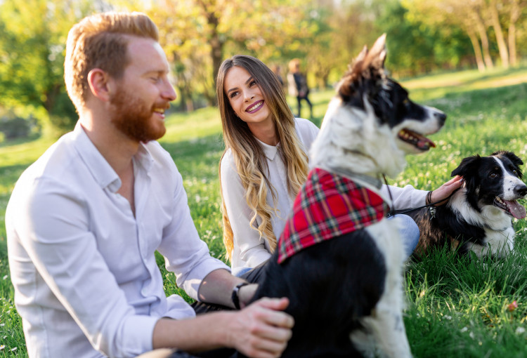 happy couple playing with dog in the park outdoor 4WFEW46